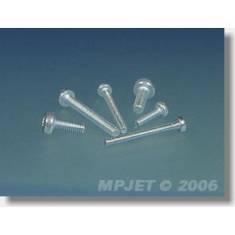 0314 Šroub Pan Head M2x10 10 ks