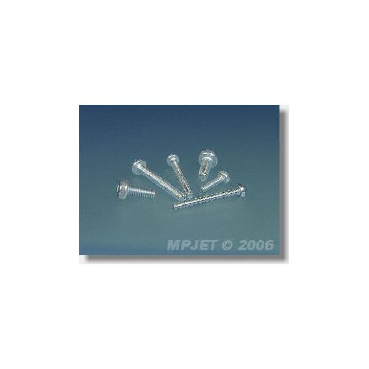 0314 Šroub Pan Head M2x10 10 ks