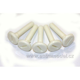 Šroub nylon válcová hlava M6x30 (5)