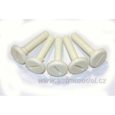 Šroub nylon válcová hlava M6x30 (5)