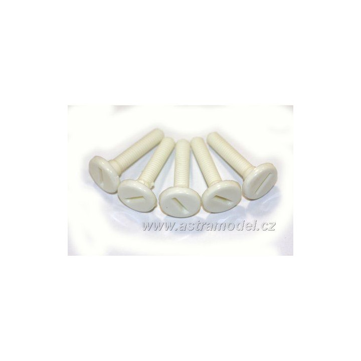 Šroub nylon válcová hlava M6x30 (5)