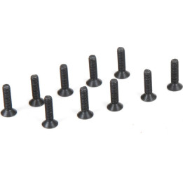 Šroub FH M2.5x10mm (10)
