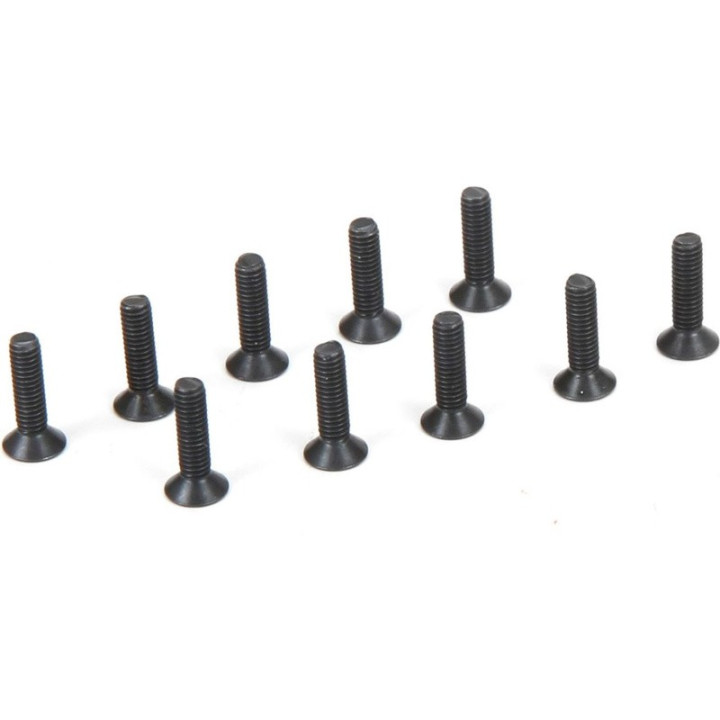 Šroub FH M2.5x10mm (10)