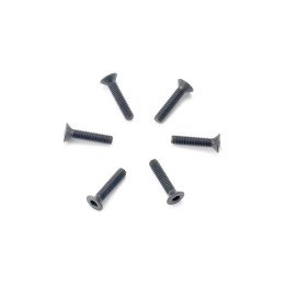 Šroub imbus zapuštěná hlava M2.5x12mm (6)