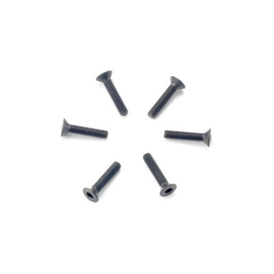 Šroub imbus zapuštěná hlava M2.5x12mm (6)
