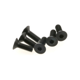 Šroub imbus zapuštěná hlava M4x12mm (6)