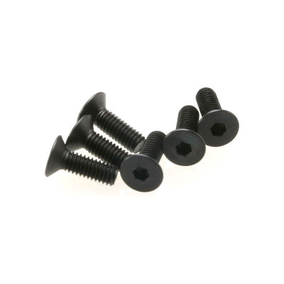 Šroub imbus zapuštěná hlava M4x12mm (6)