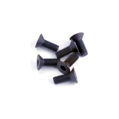 Šroub imbus zapuštěná hlava M3x8mm (6)