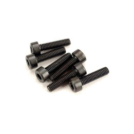Šroub imbus válcová hlava M2.5x10mm (6)