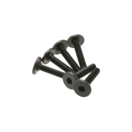 Šroub imbus plochá hlava M3x15mm (6)