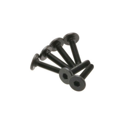 Šroub imbus plochá hlava M3x15mm (6)