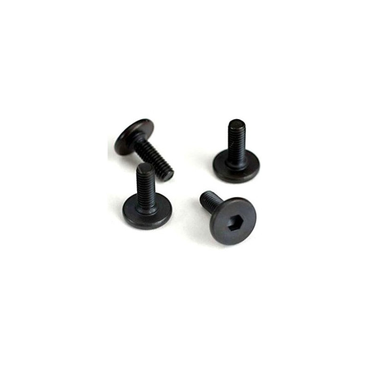 Šroub imbus plochá hlava M3x10mm (6)