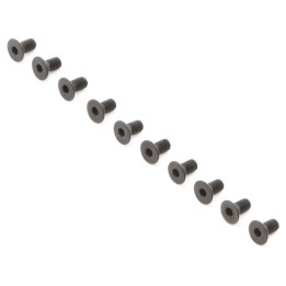Šroub FH M3x6mm (10)