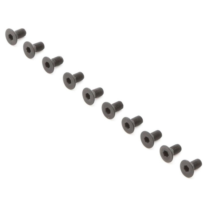 Šroub FH M3x6mm (10)
