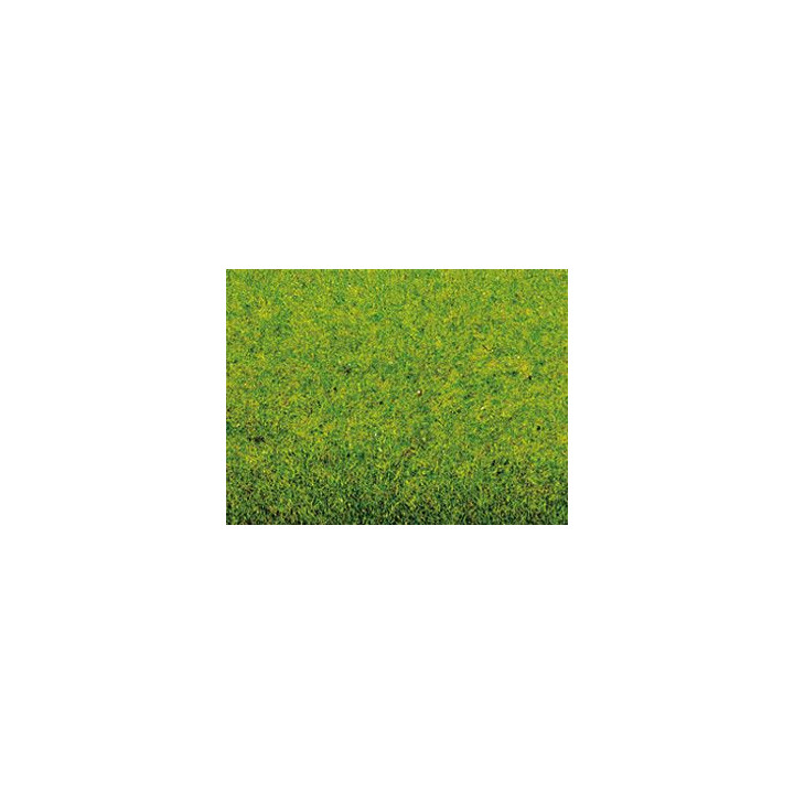 Trávnatý koberec jarná lúka, 200 x 100 cm