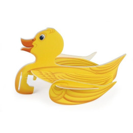Vector Plane DUCK
