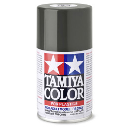 85004 TS 4 German-Grey Tamiya Color 100ml (Acrylic Spray Paint)