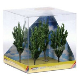 Topole, 4 ks,  12 cm  NO21006