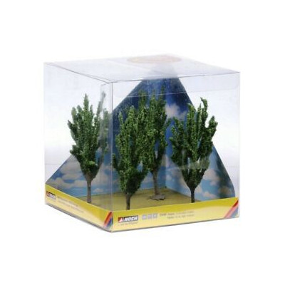Topole, 4 ks,  12 cm  NO21006
