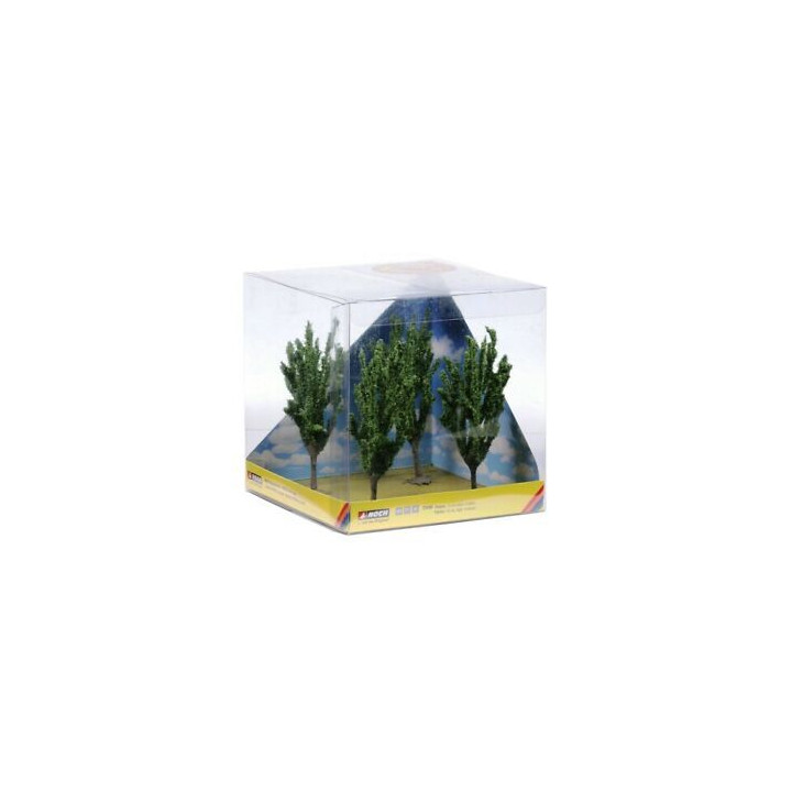 Topole, 4 ks,  12 cm  NO21006