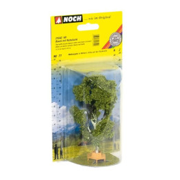 Breza 11,5 cm vysoká s kruhovou lavičkou  NO21642