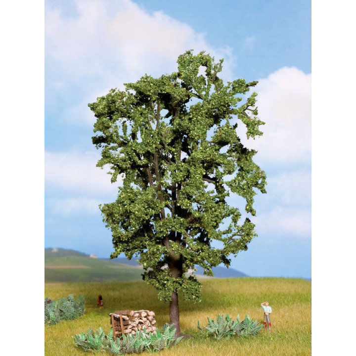 Gaštan, 19 cm  NO21800