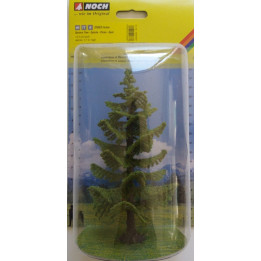 Smrek, 14,5 cm  NO21833