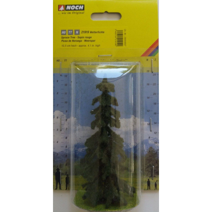 Smrek, 10,5 cm  NO21919