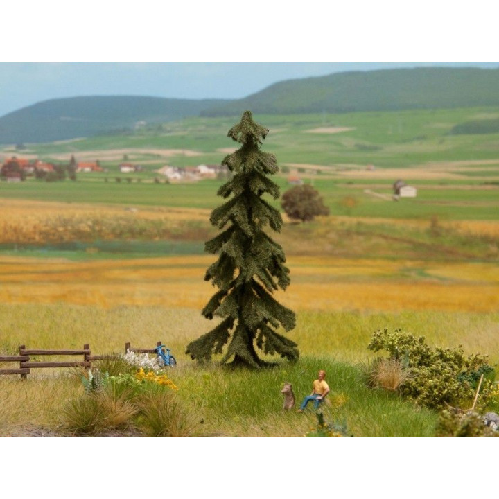 Smrek, 10,5 cm  NO21919