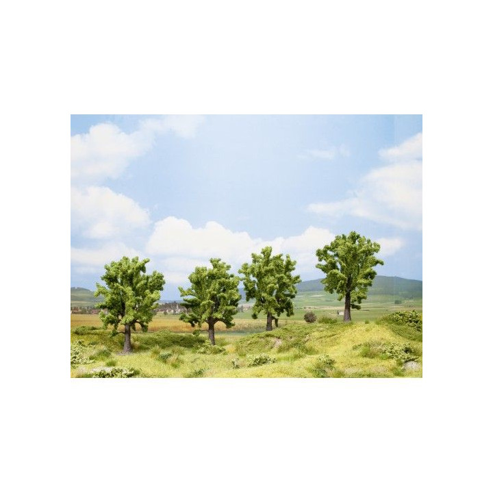 Buk, 4 ks, 13 cm  NO25005