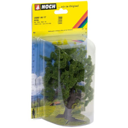 Dub, 15 cm  NO25860