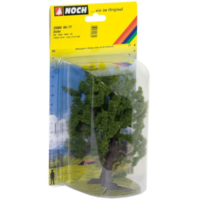 Dub, 15 cm  NO25860