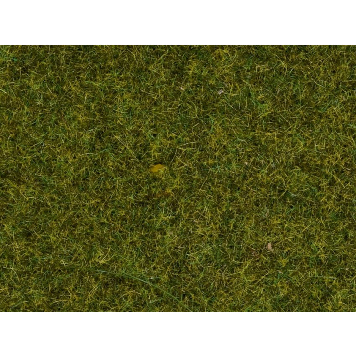 Posyp lúka, 2,5 mm, 100 g  NO50220