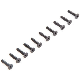 Losi: Šroub Flat Head M2.5 x 12mm (10)