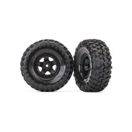 Traxxas kolo 1.9", disk TRX-4 Sport, pneu Canyon Trail (pár)