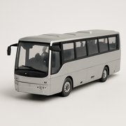 IRISBUS