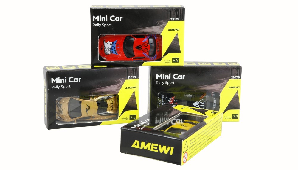 Mini Rally Sport Car 1:67 RTR